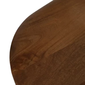 MESA CENTRO MARRÓN MADERA DE MANGO SALÓN 120 X 60 X 40 CM-3