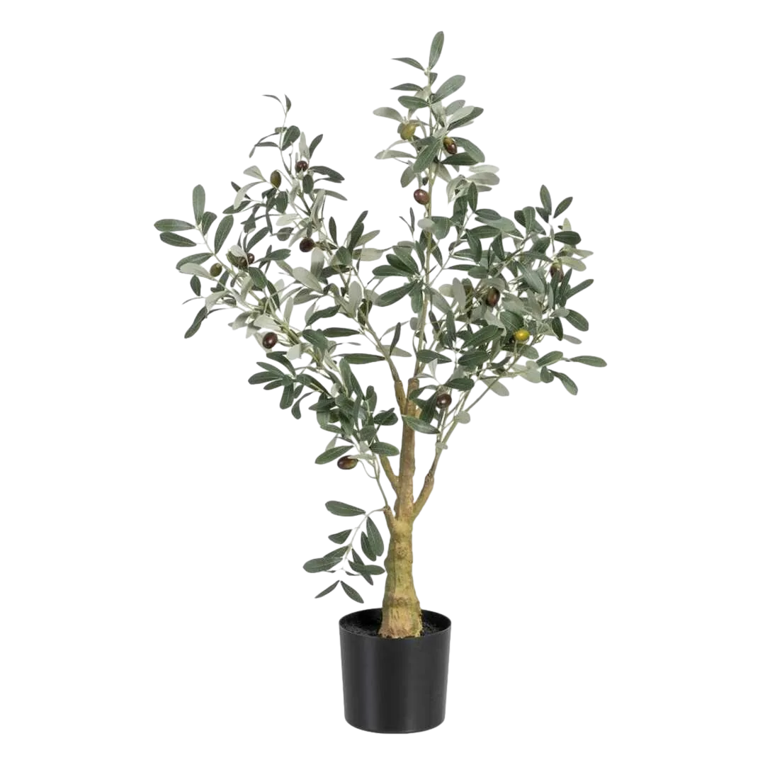 Planta artificial olivo verde con macetero negro 56x48x78cm - Ixia - 605467IX - foto-transparente