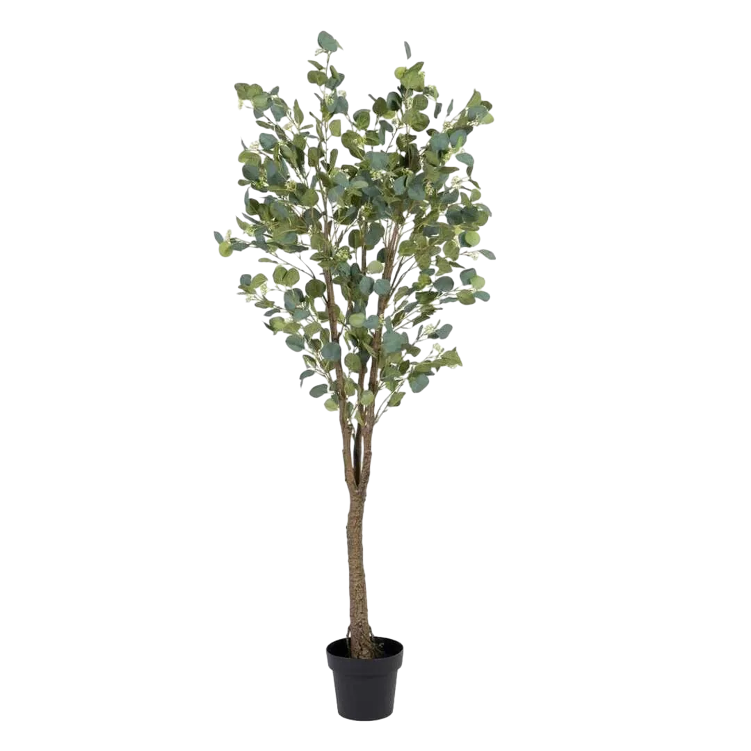 Planta eucalipto artificial verde con macetero negro 80x75x173cm - Ixia - 605470IX - foto-transparente