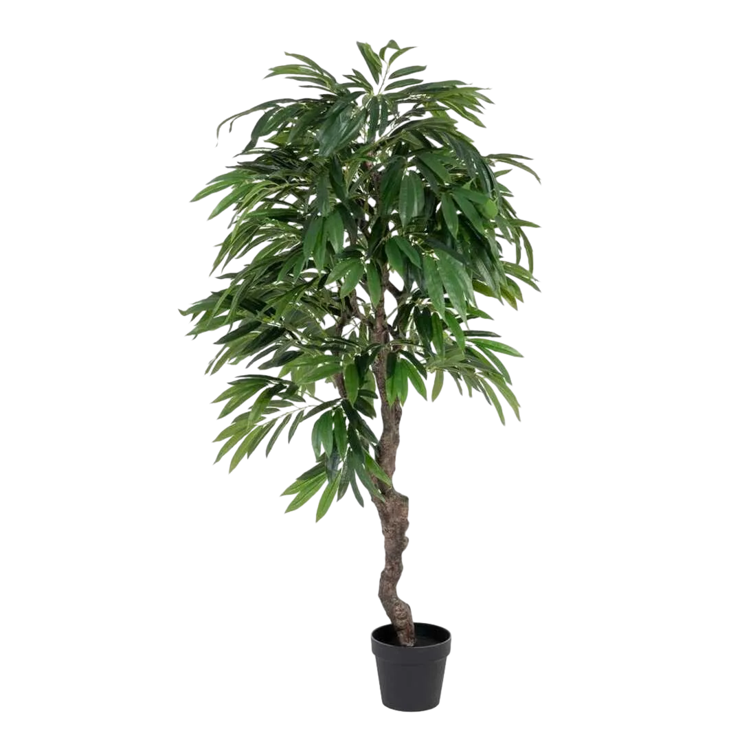 Planta eucalipto verde con macetero negro 105x100x160cm - Ixia - 605473IX - foto-transparente