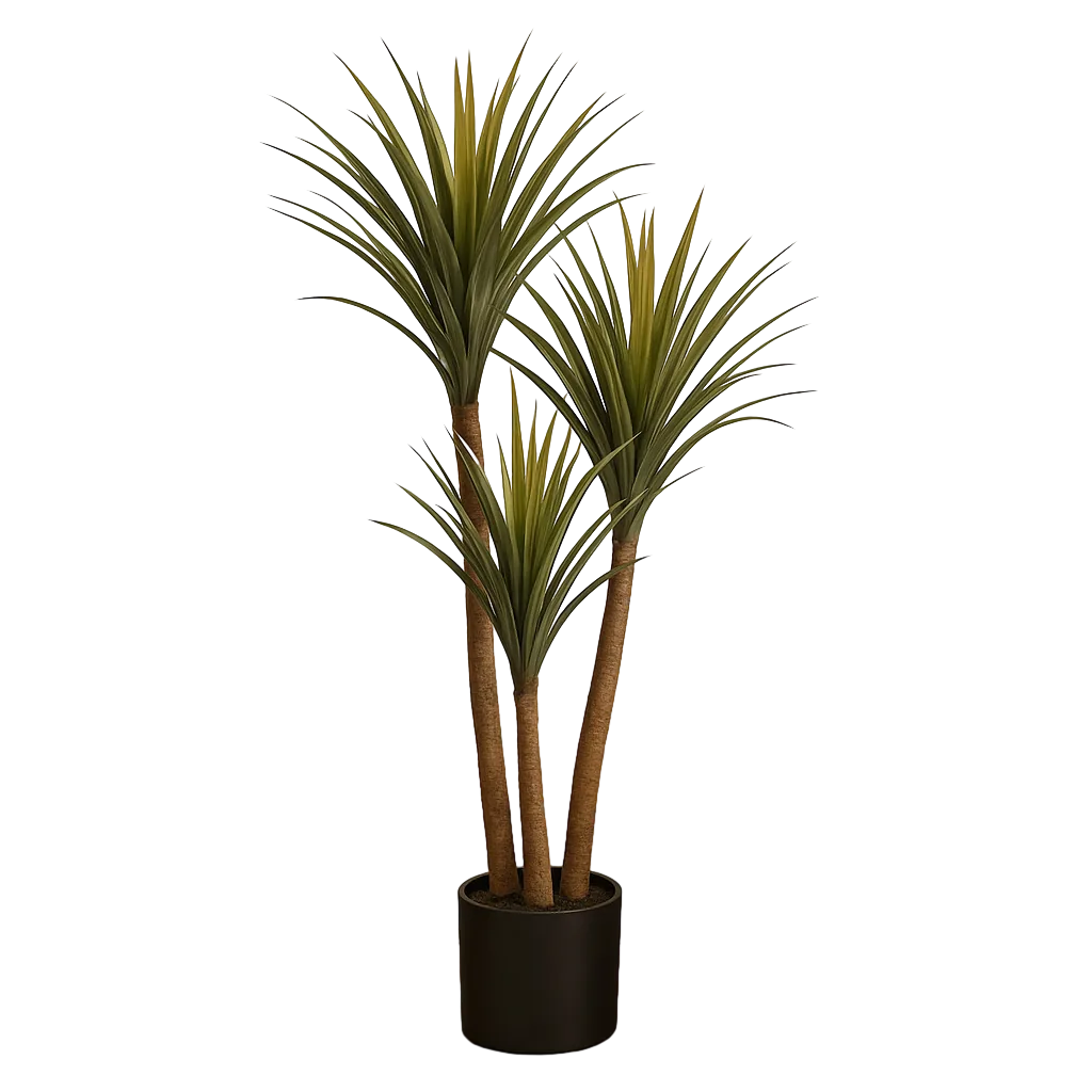 Planta drácena verde de goma con macetero de polipropileno 0x0x110cm - Ixia - 612204IX - foto-transparente