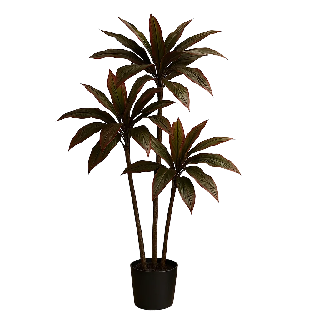 Planta Dracaena roja de goma decorativa con macetero de polipropileno 0x0x165cm - Ixia - 612206IX - foto-transparente