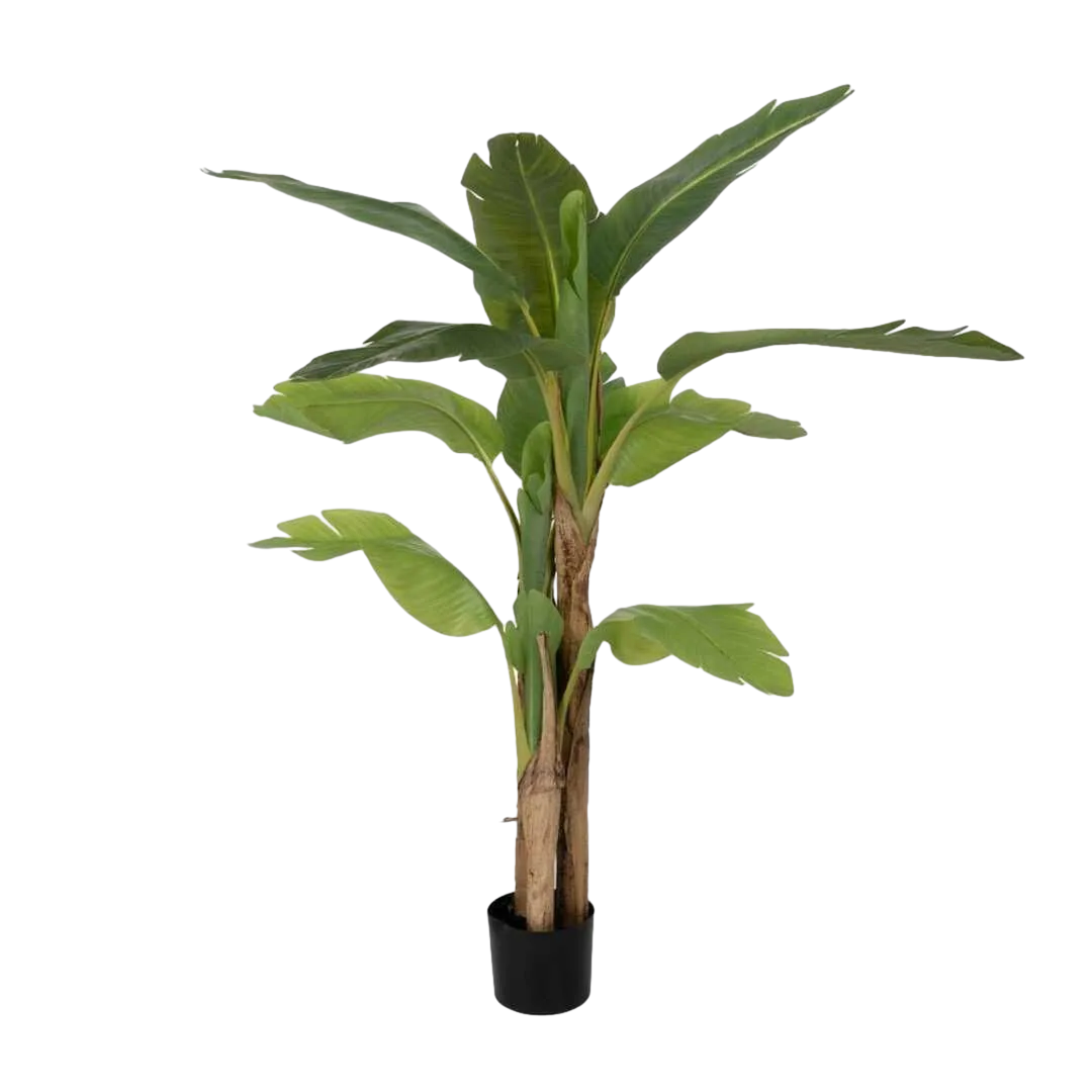 Planta platanero artificial hojas de polietileno tronco de poliuretano macetero de PVC 0x0x150cm - Ixia - 612213IX - foto-transparente