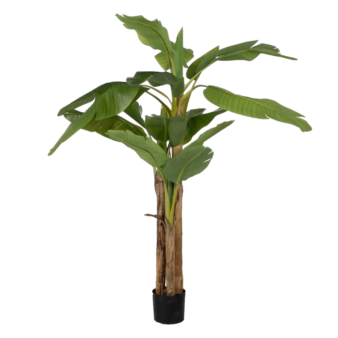 Planta artificial platanero verde con hojas de polietileno tronco de poliuretano y macetero de PVC 0x0x200cm - Ixia - 612214IX - foto-transparente