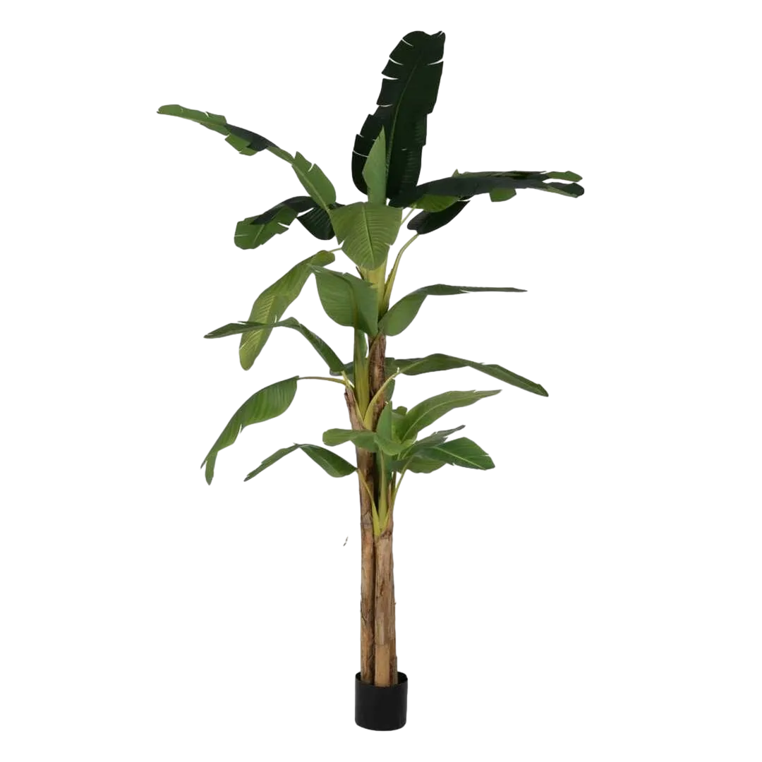 Planta platanero artificial verde con macetero de PVC 0x0x280cm - Ixia - 612215IX - foto-transparente