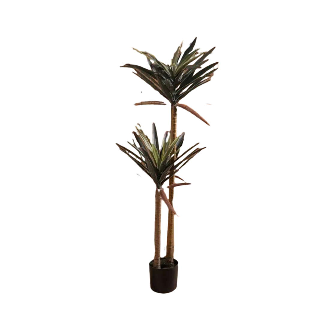 Planta yuca verde en goma con macetero de polipropileno 0x0x125cm - Ixia - 612216IX - foto-transparente