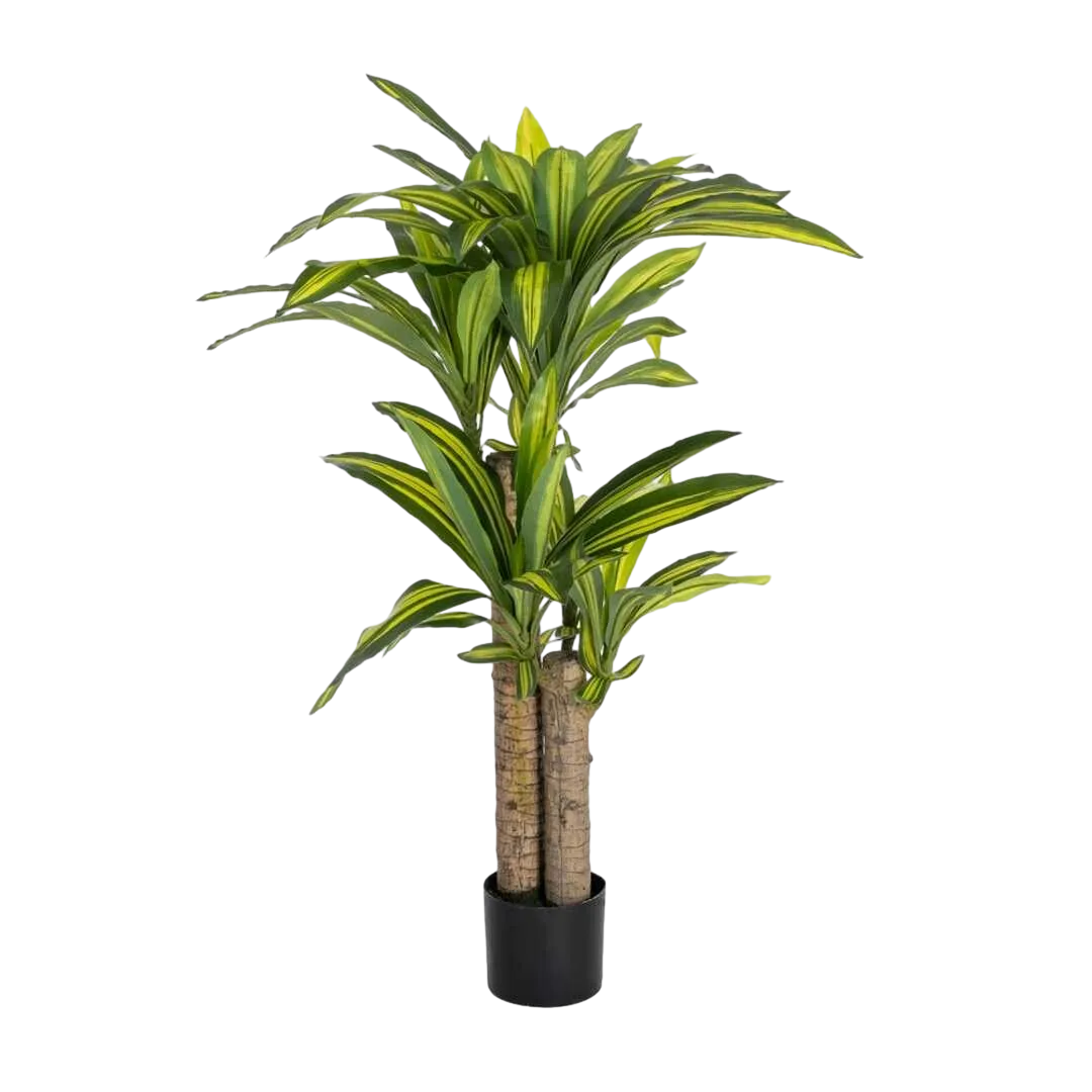 Planta artificial drácena verde en poliéster con macetero 70x110cm - Ixia - 616124IX - foto-transparente