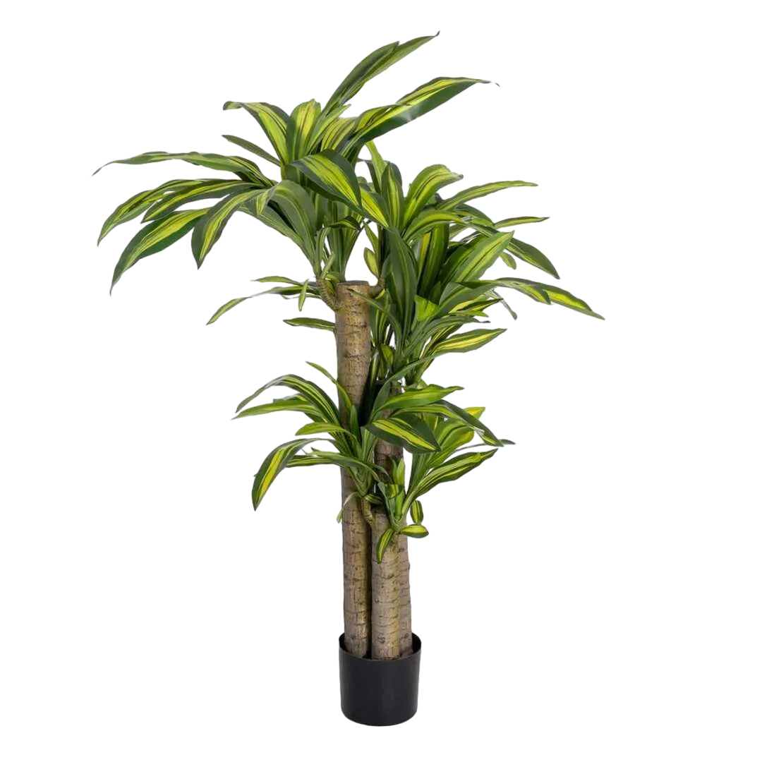 Planta artificial Dracaena verde con hojas de polietileno y macetero de PVC 100x140cm - Ixia - 616125IX - foto-transparente