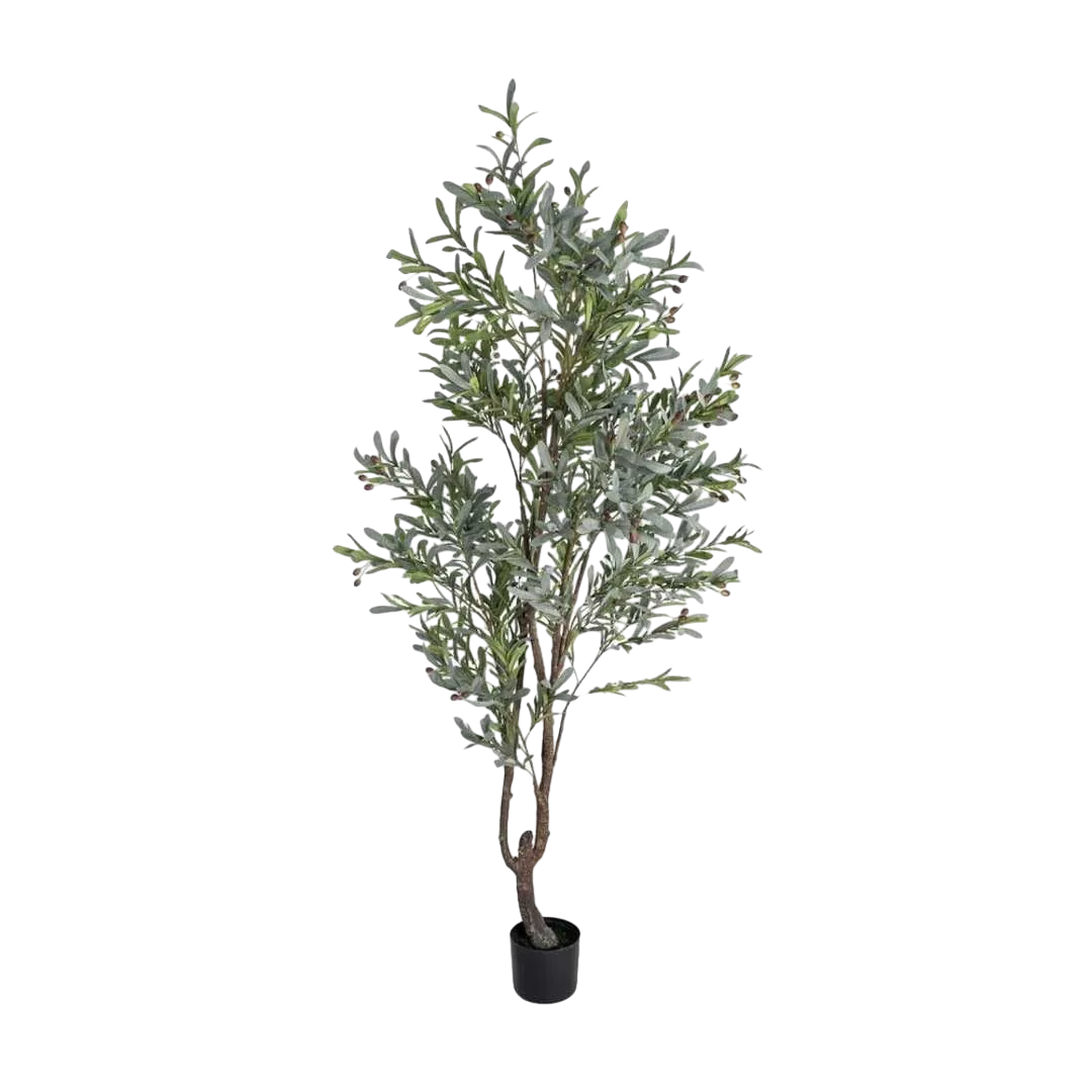 Planta olivo verde decorativa en polietileno con macetero 110x210cm - Ixia - 616126IX - foto-transparente