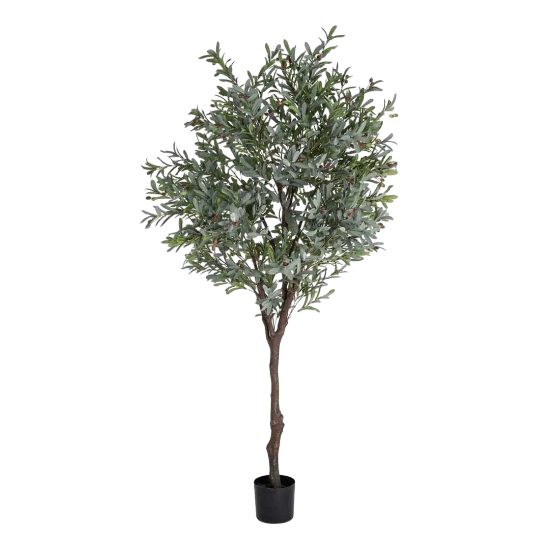 Planta olivo artificial verde hojas en polietileno tronco en poliuretano macetero en PVC 130x240cm - Ixia - 616127IX - foto-transparente