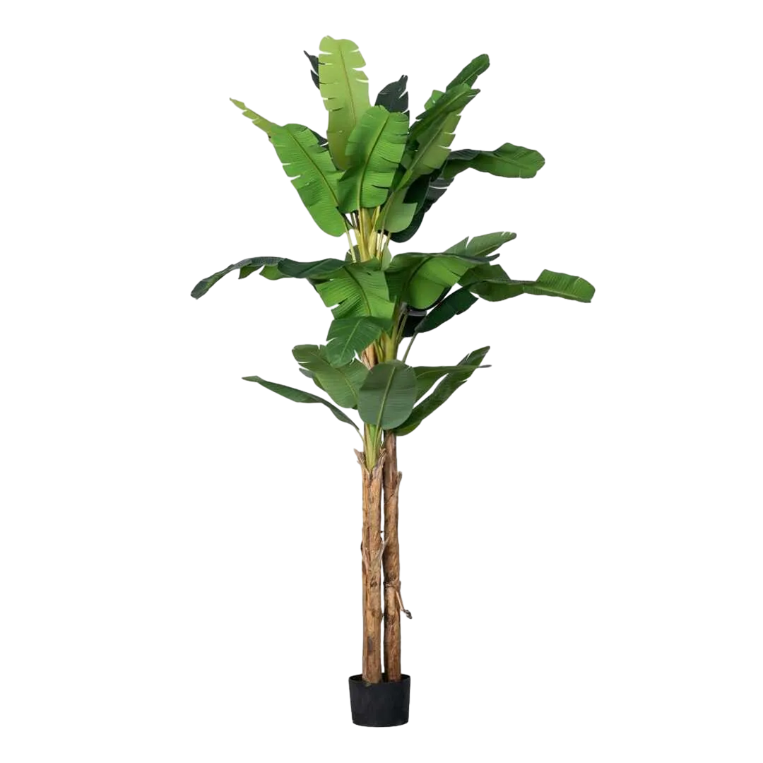 Planta platanero verde de poliéster 200x320cm - Ixia - 616128IX - foto-transparente