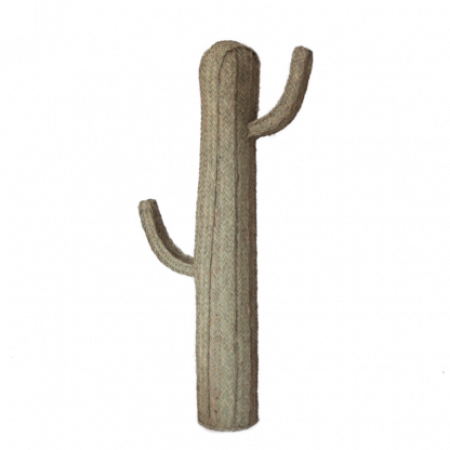 136-3.-Cactus-no-3-416x416