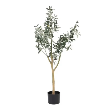 Planta olivo verde con macetero negro en polietileno y relleno de cemento 55x60x112cm - Ixia - 605468IX - foto-blanco