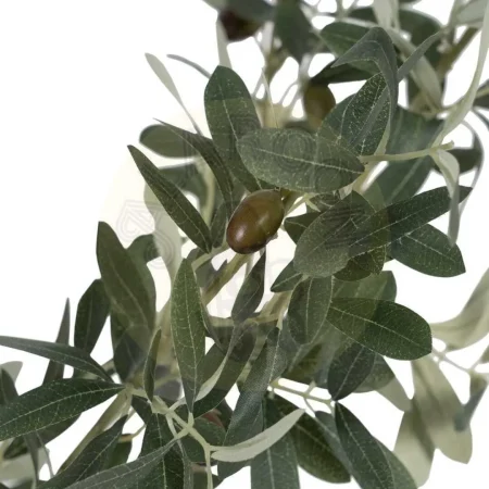 Planta olivo verde con macetero negro en polietileno y relleno de cemento 55x60x112cm - Ixia - 605468IX - foto-secundaria-1