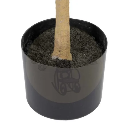Planta olivo verde con macetero negro en polietileno y relleno de cemento 55x60x112cm - Ixia - 605468IX - foto-secundaria-3