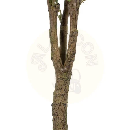 Planta eucalipto artificial verde con macetero negro 80x75x173cm - Ixia - 605470IX - foto-secundaria-2