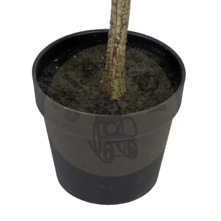 Planta eucalipto artificial verde con macetero negro 80x82x180cm - Ixia - 605472IX - foto-secundaria-2