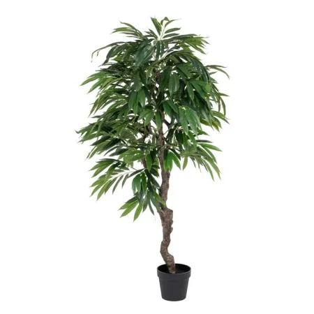 Planta eucalipto verde con macetero negro 105x100x160cm - Ixia - 605473IX - foto-blanco