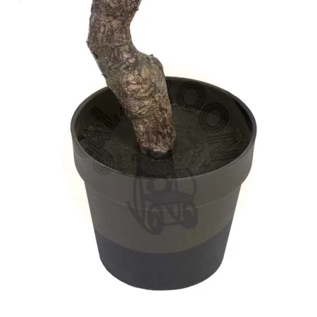 Planta eucalipto verde con macetero negro 105x100x160cm - Ixia - 605473IX - foto-secundaria-3