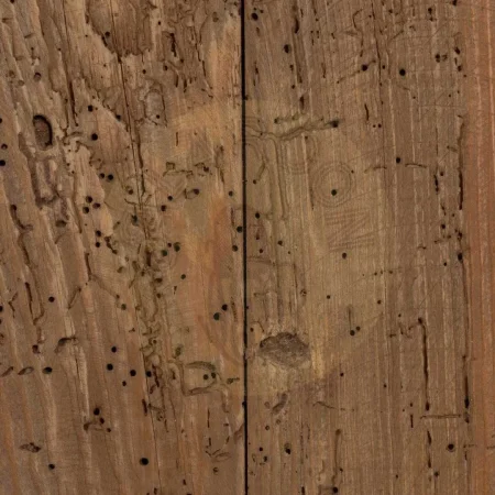 Armario natural de madera de pino reciclada con puertas y hueco 100x45x130cm - Ixia - 611312IX - foto-secundaria-7