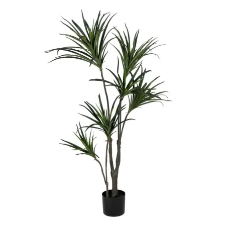 Planta dracaena verde de goma con macetero de polipropileno 0x0x130cm - Ixia - 612205IX - foto-blanco