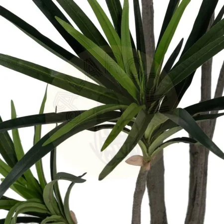 Planta dracaena verde de goma con macetero de polipropileno 0x0x130cm - Ixia - 612205IX - foto-secundaria-1