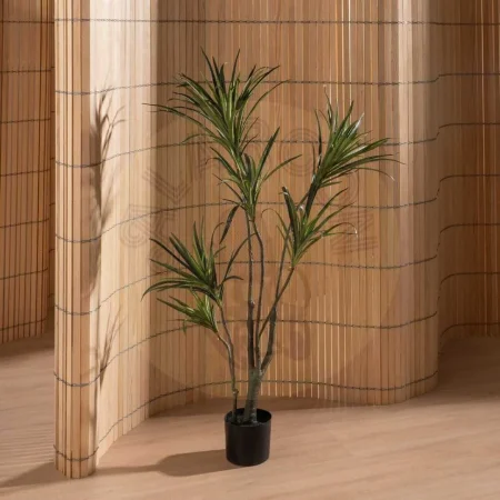 Planta dracaena verde de goma con macetero de polipropileno 0x0x130cm - Ixia - 612205IX - foto-secundaria-5