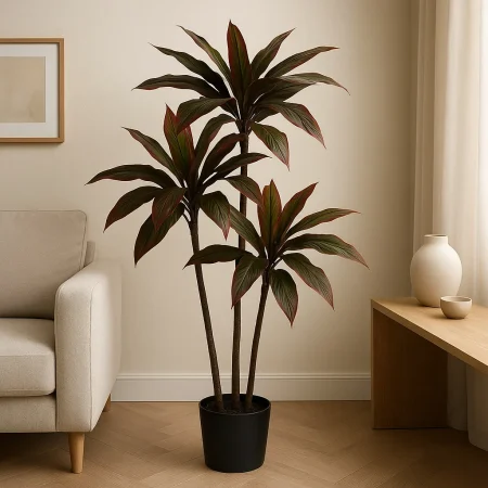 Planta Dracaena roja de goma decorativa con macetero de polipropileno 0x0x165cm - Ixia - 612206IX - foto-blanco