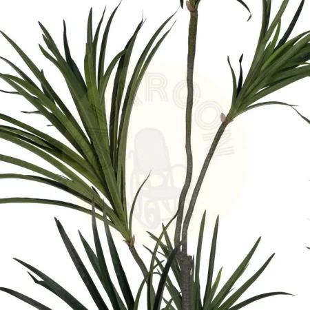Planta Dracaena verde en goma con macetero de polipropileno 0x0x220cm - Ixia - 612207IX - foto-secundaria-1