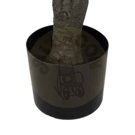 Planta Dracaena verde en goma con macetero de polipropileno 0x0x220cm - Ixia - 612207IX - foto-secundaria-5