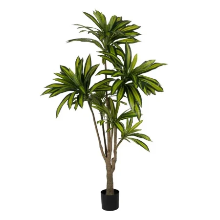 Planta dracaena verde de goma decorativa con macetero en polipropileno 0x0x200cm - Ixia - 612208IX - foto-blanco