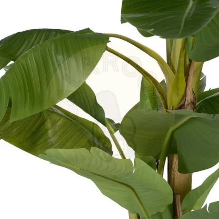 Planta artificial platanero verde con hojas de polietileno tronco de poliuretano y macetero de PVC 0x0x200cm - Ixia - 612214IX - foto-secundaria-1
