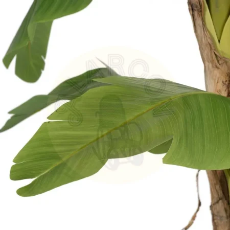 Planta platanero artificial verde con macetero de PVC 0x0x280cm - Ixia - 612215IX - foto-secundaria-2