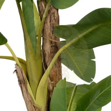 Planta platanero artificial verde con macetero de PVC 0x0x280cm - Ixia - 612215IX - foto-secundaria-4