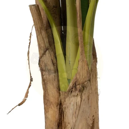 Planta platanero artificial verde con macetero de PVC 0x0x280cm - Ixia - 612215IX - foto-secundaria-5