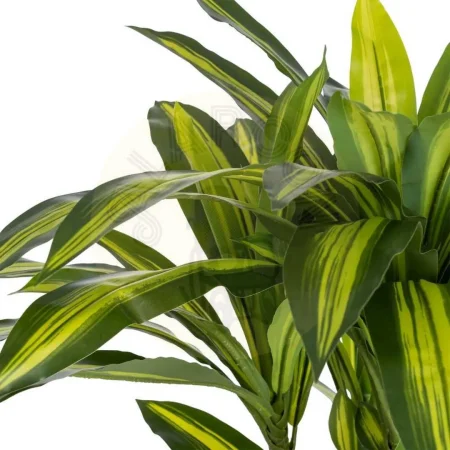 Planta artificial drácena verde en poliéster con macetero 70x110cm - Ixia - 616124IX - foto-secundaria-1