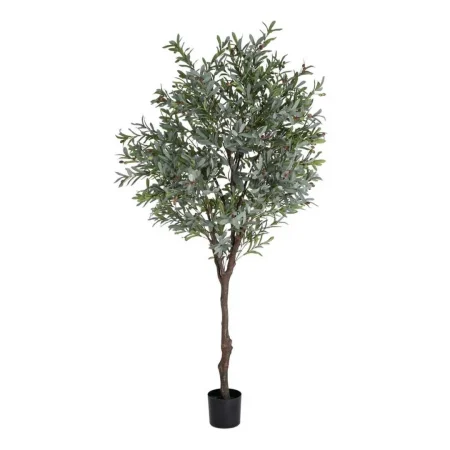 Planta olivo artificial verde hojas en polietileno tronco en poliuretano macetero en PVC 130x240cm - Ixia - 616127IX - foto-blanco