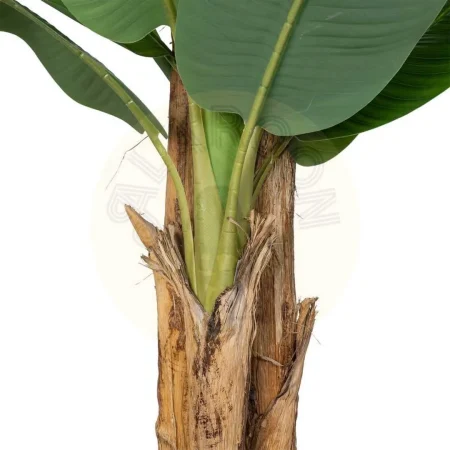 Planta platanero verde de poliéster 200x320cm - Ixia - 616128IX - foto-secundaria-2