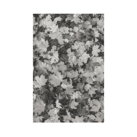 Alfombra Mod. Nerea Acrílica Diseño Floral 255 Gris - Sualsa (2)