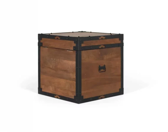 Baúl de Madera Maciza de Mango 50x50x50 cm con Herrajes de Hierro Negro-MOVIL (6)