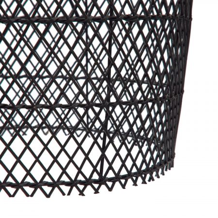 L06000014FN01·3N