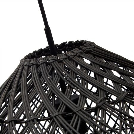L06000014FN01·3O