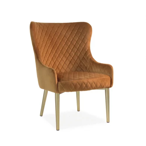 Sillón Melissa Miel - Moycor (1)