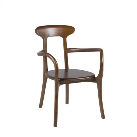Sillón en Madera de Teka - Moycor (1)