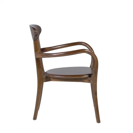 Sillón en Madera de Teka - Moycor (2)