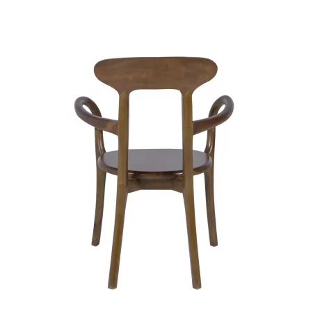Sillón en Madera de Teka - Moycor (3)