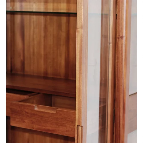 Vitrina 2 Cajones 2 Puertas Madera Caoba Coleccion Oporto 100x40x190 Cm - Moycor (6)