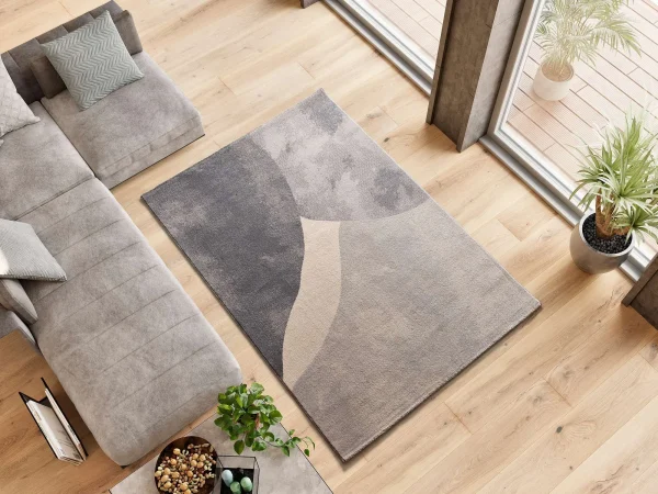 monic_12803_19_plata_ambient