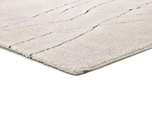 turin_2379_04_blanco_macro